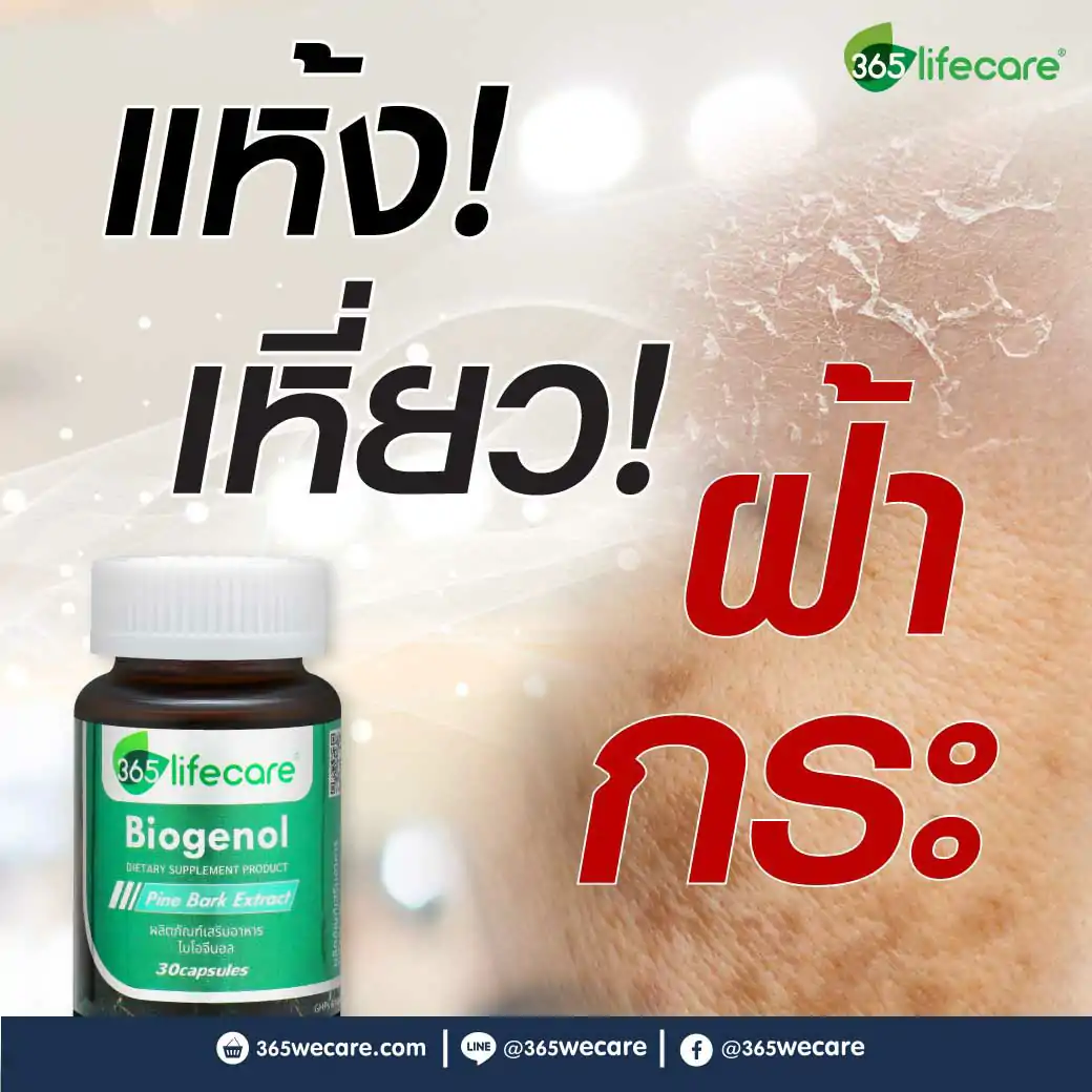 365Lifecare Biogenol Pine Bark Extract 30แคปซูล. 365 ไลฟ์แคร์ ไบโอจีนอล