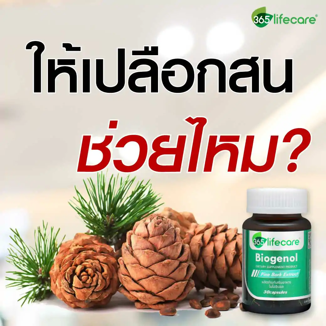 365Lifecare Biogenol Pine Bark Extract 30แคปซูล. 365 ไลฟ์แคร์ ไบโอจีนอล