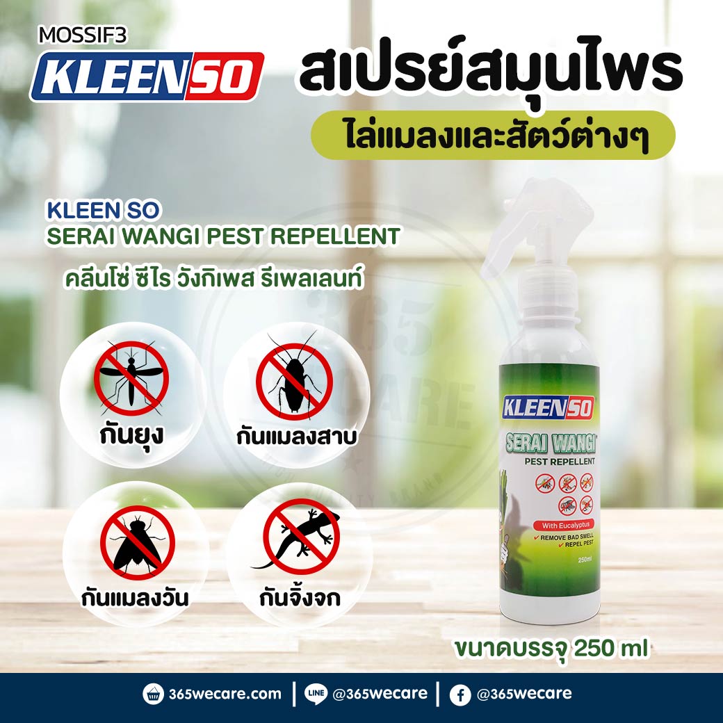MOSSIF3 Kleenso Serai Wangi 250ml.  มอสซีฟทรี กลีนโซ่ ซีไร วังกิ เพส รีเพลเลนท์