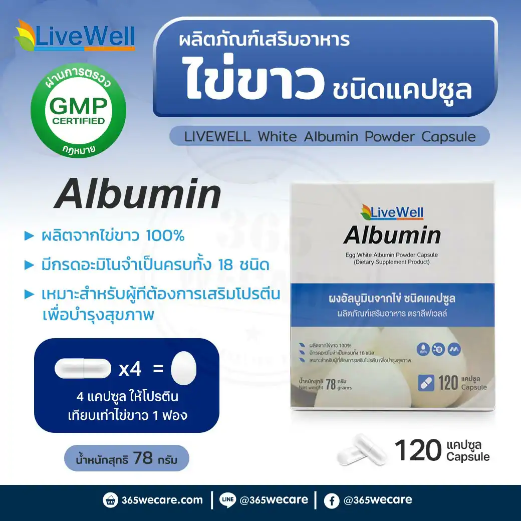LIVEWELL Albumin 120Capsule. ลีฟเวลล์ ผงอัลบูมินจากไข่ ชนิดแคปซูล