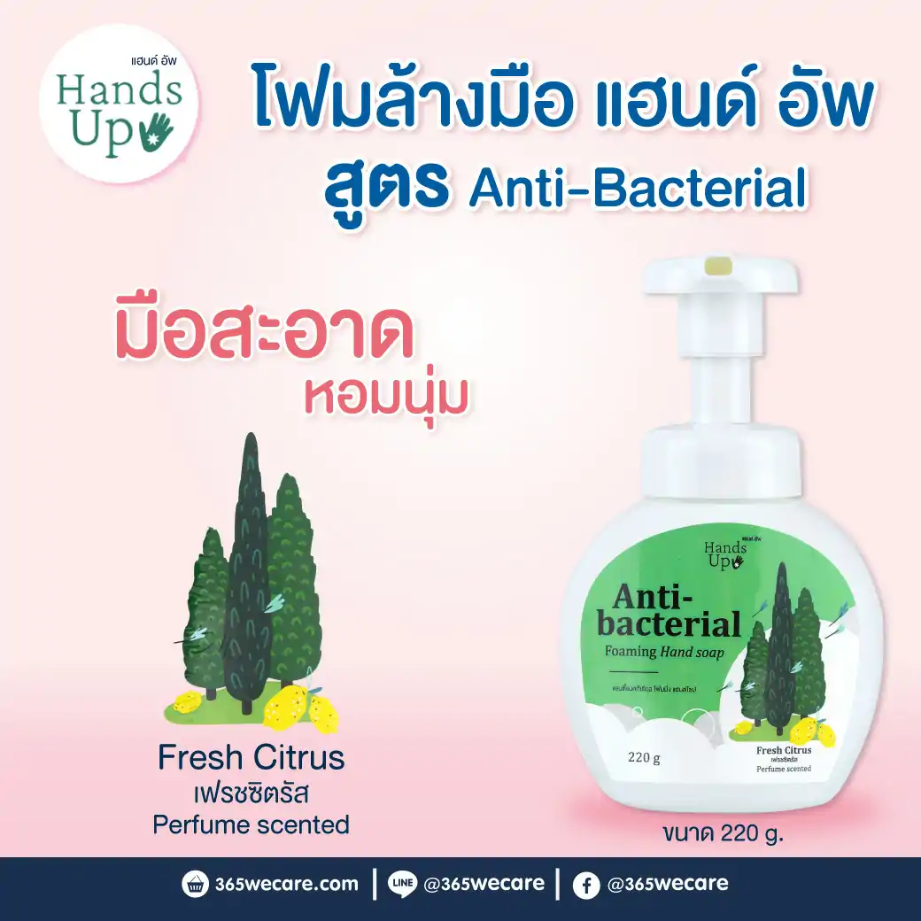 Hand Up Anti-bacterial Foaming Hand Soap 220g. Fresh Citrus แฮนด์อัพ แอนตี้แบคทีเรียล โฟมมิ่งแฮนด์ โซป กลิ่น เฟรชซิตรัส