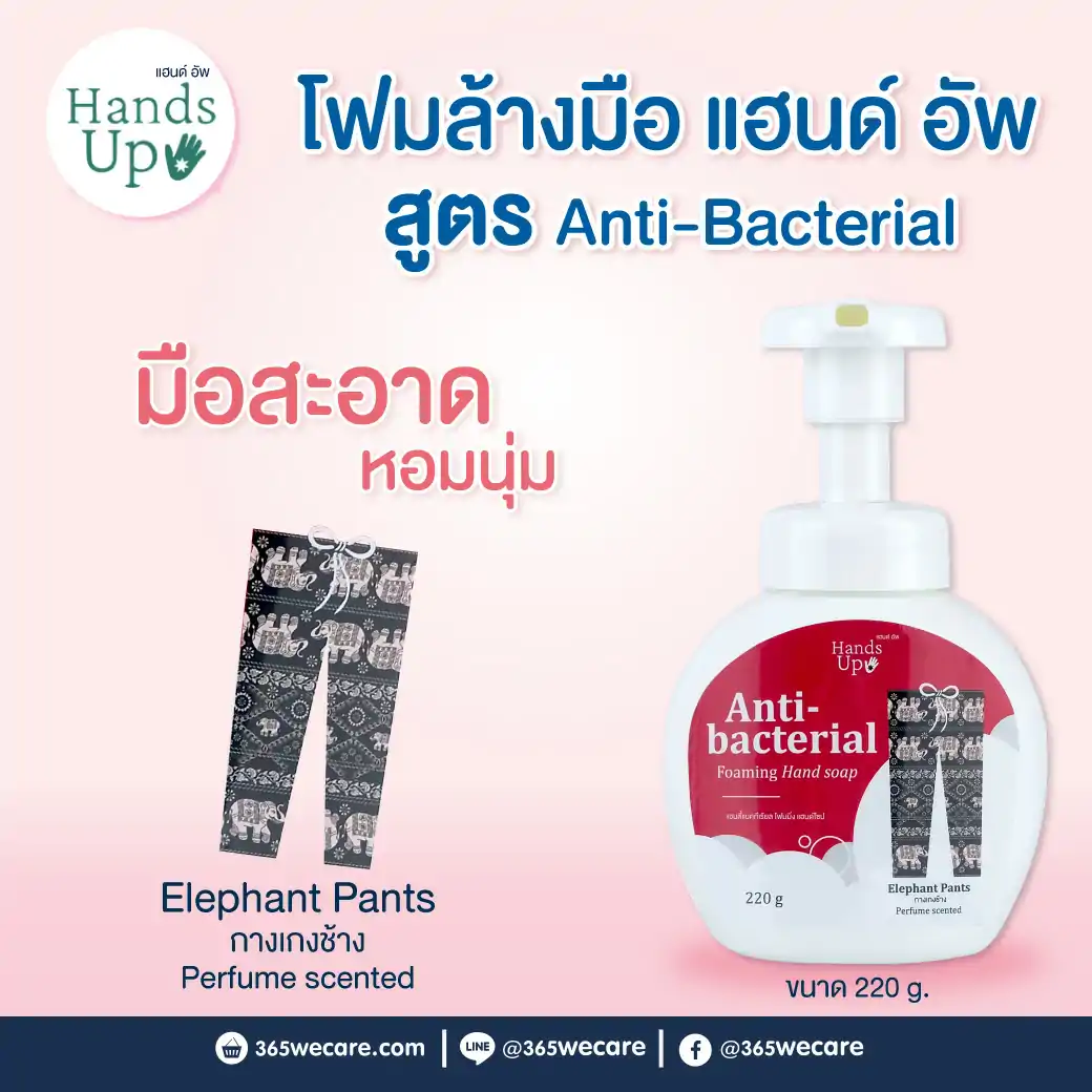Hand Up Anti-bacterial Foaming Hand Soap 220g. Elephant Pants แฮนด์อัพ แอนตี้แบคทีเรียล โฟมมิ่งแฮนด์ โซป กลิ่น กางเกงช้าง