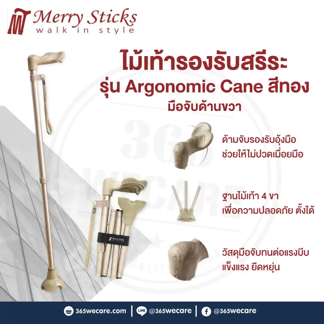 Nurture Merry Sticks Ergonomic Can (Gold-Ritht) ไม้เท้ารองรับสรีระ ผู้ถนัดขวา

