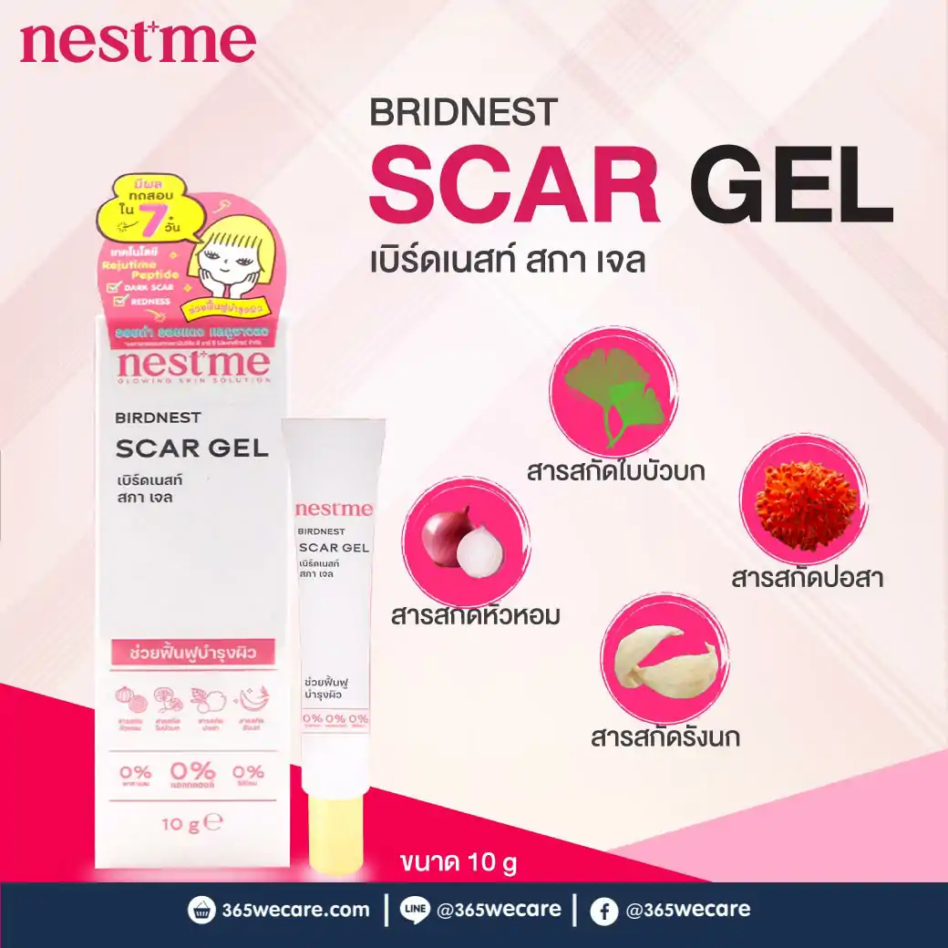 Nestme Birdnest Scar gel 10g. เนสท์มี เบิร์ดเนสท์ สกา เจล