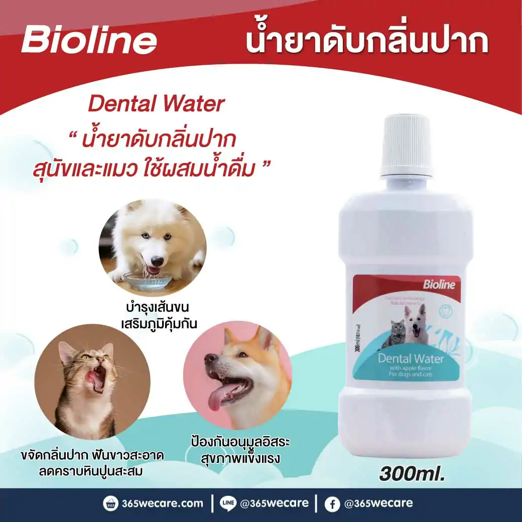 BIOLINE Dental Water 300ml. ไบโอไลน์ เดนทอร์ วอเตอร์ น้ำยาดับกลิ่นปาก