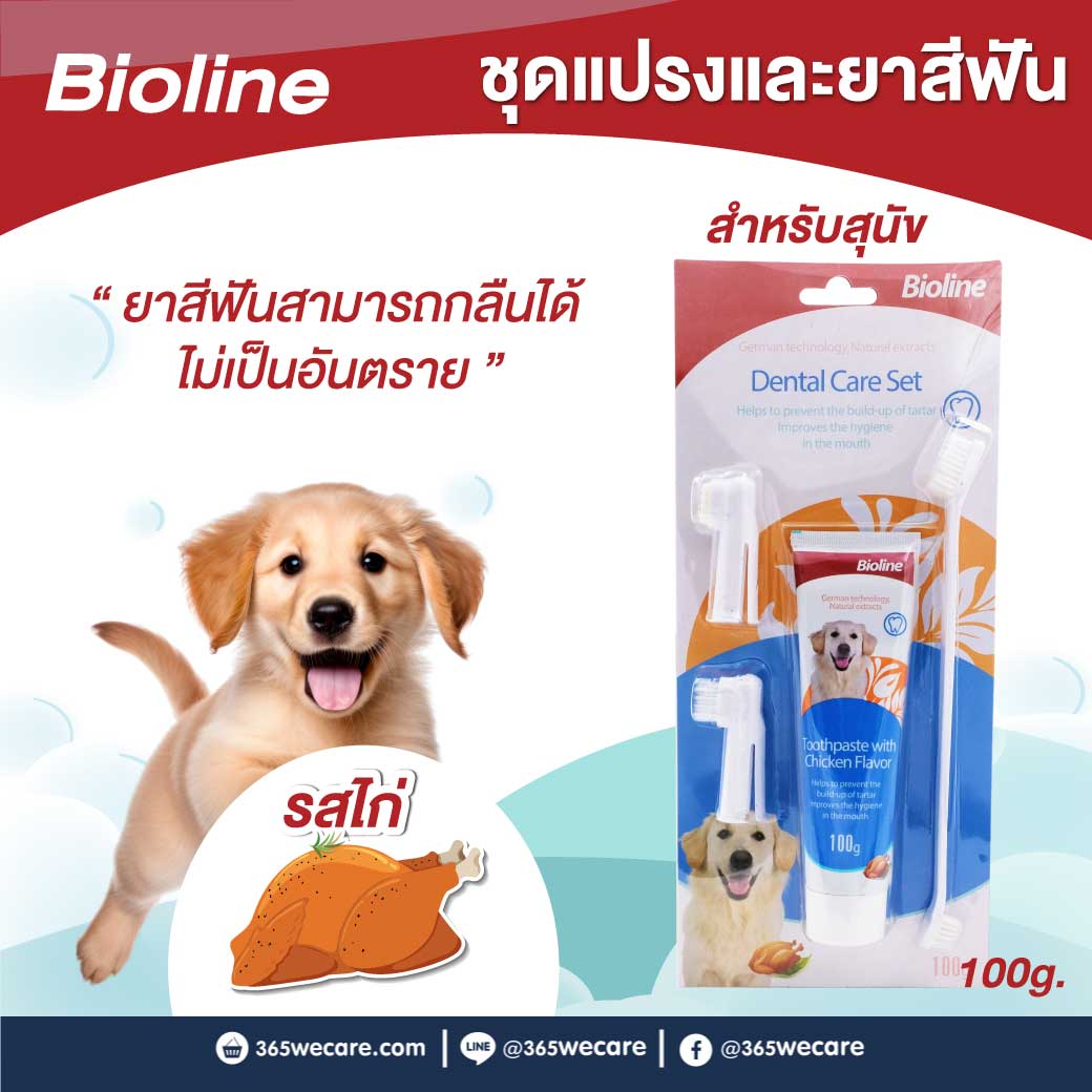 BIOLINE Dental Care Set 100g. ไบโอไลน์ ชุดแปรงและยาสีฟัน รสไก่ สำหรับสุนัข