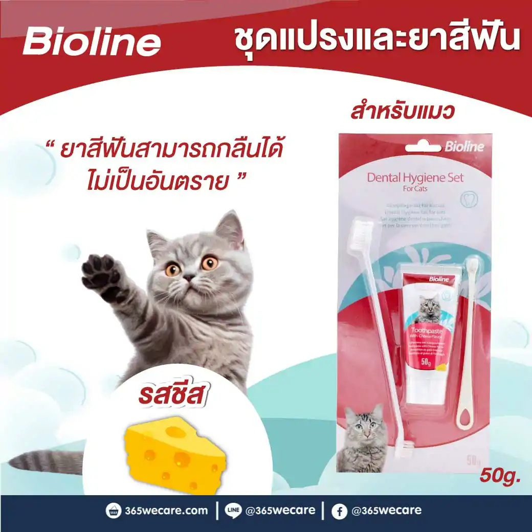 BIOLINE Dental Hygiene Set 50g. ไบโอไลน์ ชุดแปรงและยาสีฟัน รสชีส สำหรับแมว 50g.