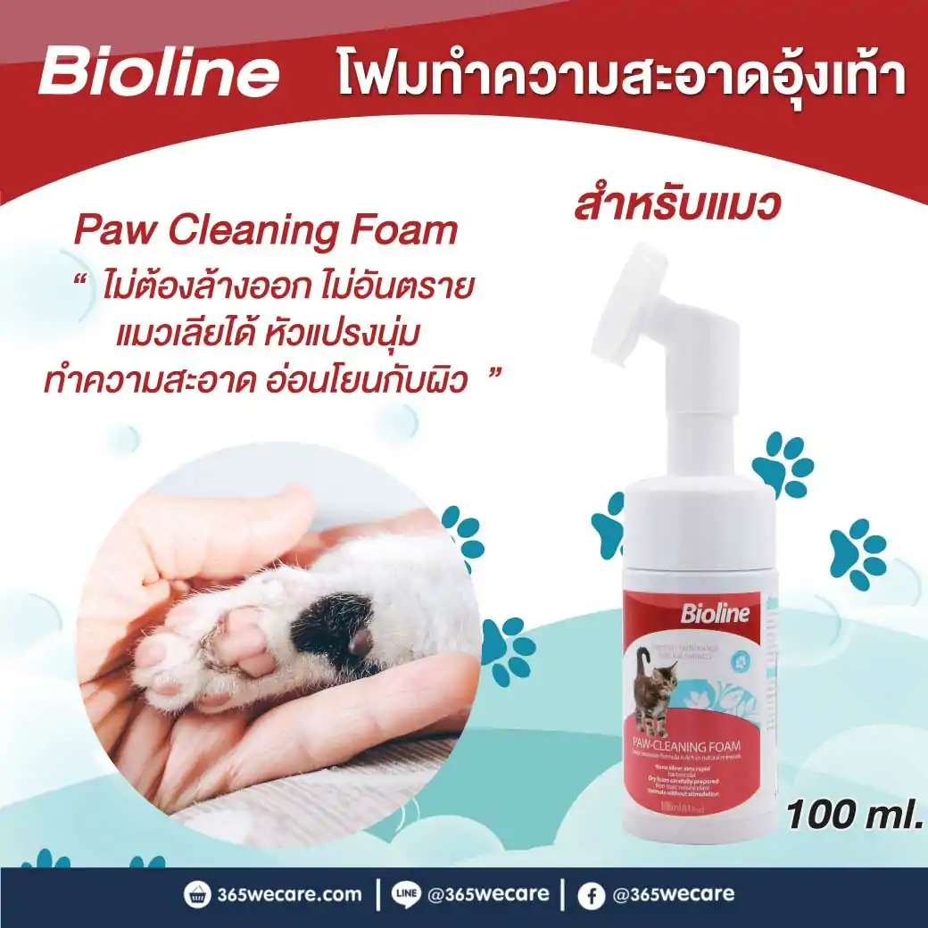 BIOLINE Paw Cleaning Foam 100ml. ไบโอไลน์ โฟมทำความสะอาดอุ้งเท้าแมว