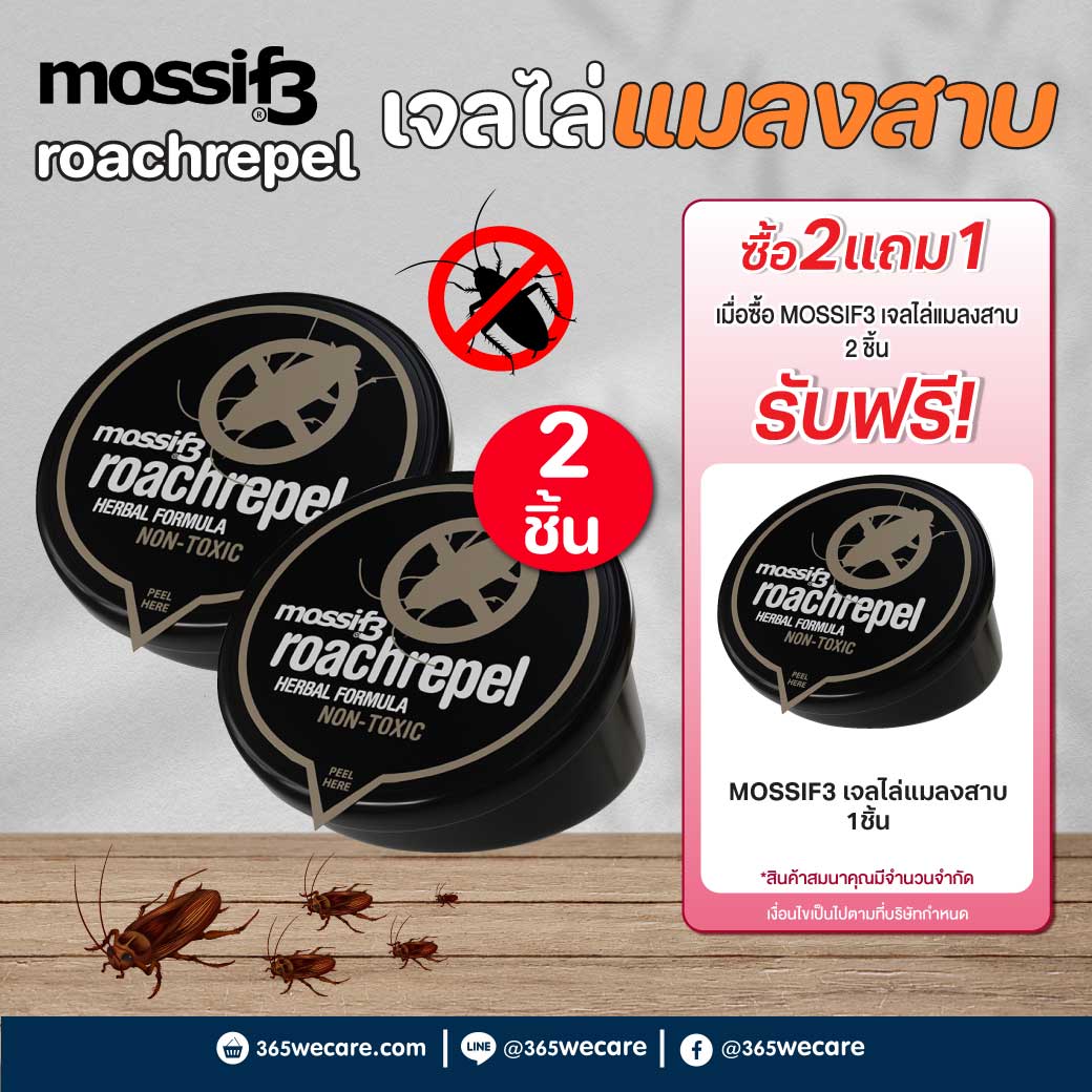 Mossif3 roach repellent gel. 50g. มอสซีฟทรี โรช รีเพลเลิน เจล 50กรัม