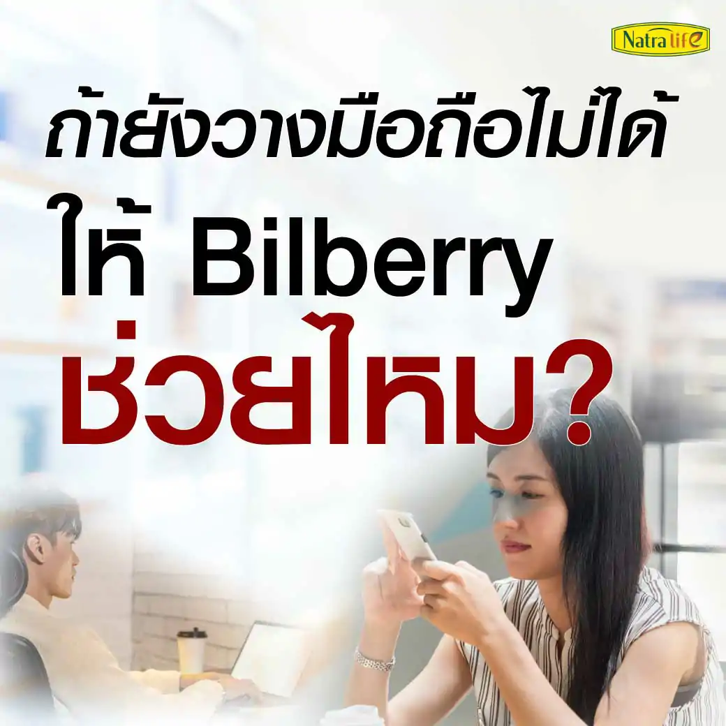 NatraLife Bilberry Extract 80mg.30แคปซูล. นาทราไลฟ์ บิลเบอร์รี่